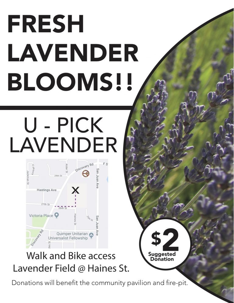 UPick Lavender Port Townsend Preservation Alliance
